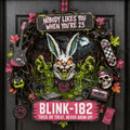 BLIK Decorative Wreath NTVA